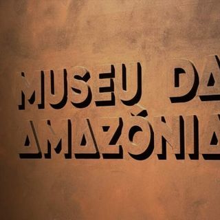 Léon XIV souhaite que l’Église en Amazonie demeure un refuge sûr pour la vie