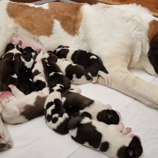 Finesse (ph.photo Deborsh Dini)