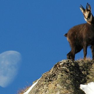 Aperte le iscrizioni per Giroparchi Nature Trail per l’estate 2026