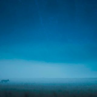 L'immagine con cui Gianluca Damiani ha vinto