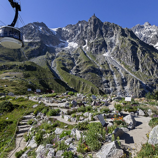 Monte Bianco, riapre il Giardino Botanico Saussurea
