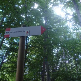 Il segnale della Partenza