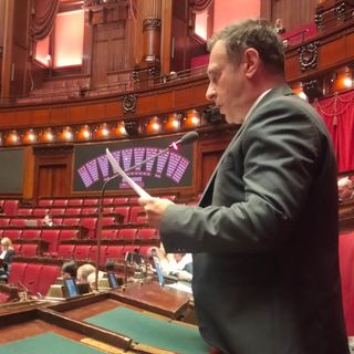 L'on. Franco Manes