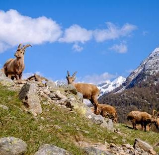 L'agricoltura e la conservazione della biodiversità”, “Battiti d’ali” e “Dalla storia al parco”