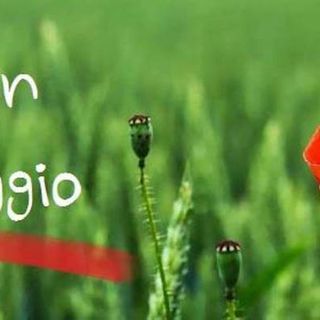 Il 1° Maggio delle OO.SS. confederali