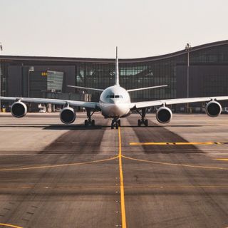 “Volano maiali”: serviranno fino a 8.800 maiali (morti) per alimentare un volo da Parigi a New York
