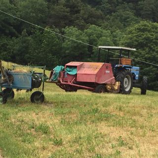 In scadenza domande di sostegno per manifestazioni agricole