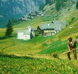 Domanda Pac, si avvicina la scadenza del 15 giugno