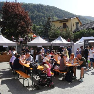 Foto repertorio