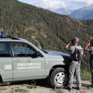 Al via il 14esimo Corso per Allievi Forestali