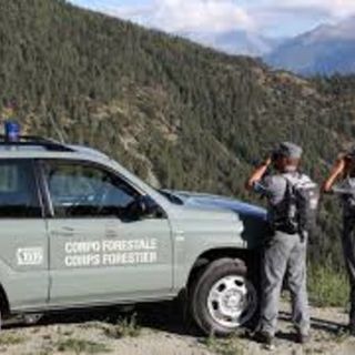 Progetto di M5S per equiparare pensioni forestali regioni autonome