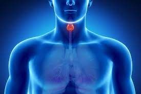 EVENTO SCIENTIFICO  IN OCCASIONE DELLA GIORNATA MONDIALE DEL DIABETE