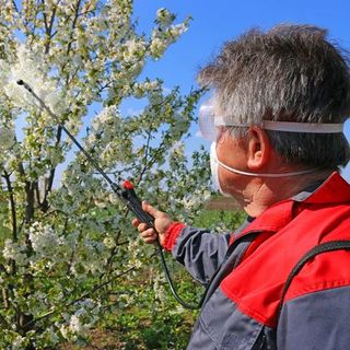 Corsi di aggiornamento per il rinnovo del patentino fitosanitario