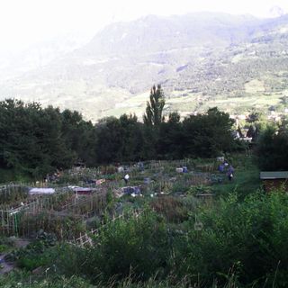 FURTI: Orti comunali sotto attacco