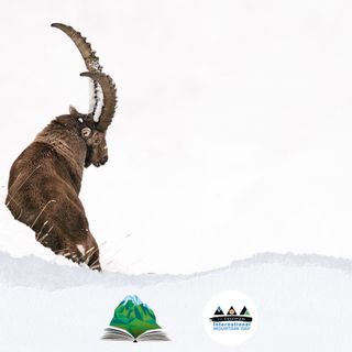 Giornata internazionale della Montagna con il GPFF