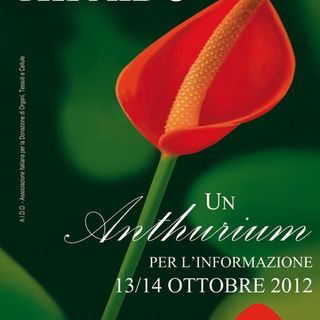Il 13 e 14 ottobre Giornate nazionali dell’ Aido: un anthurium per l’informazione