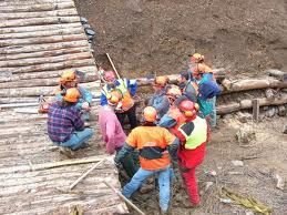 Sì all'assunzione di 10 operai forestali in Valle