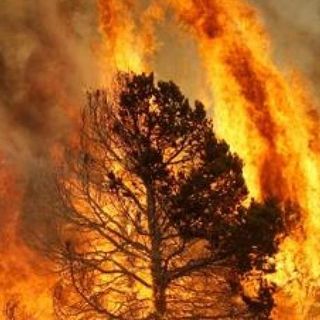 Cessata la situazione di grave pericolo di propagazione degli incendi boschivi