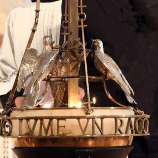 VOX POPULI: L’olio di noci per la lampada sembra uno spreco