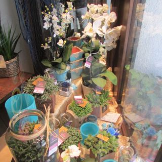 La vetrina di Le Bouquet e, in basso da sx, 'Et les Fleurs', 'Mc Gregor', Ottica Ostinelli