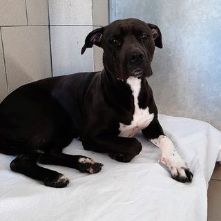 Luna spetta un po' di sereno