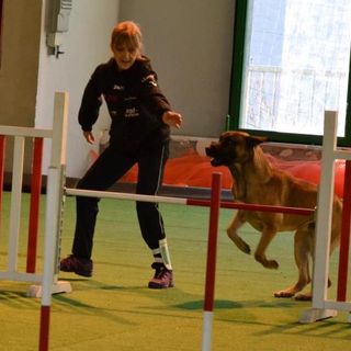 Laura Mascotto mentre addestra un suo cane
