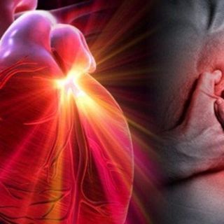 Oltre 50 adesioni, tra associazioni e clinici, per la lettera che chiede la legge per prevenire la morte cardiaca giovanile