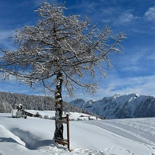 A Saint-Barthélemy è tornata la neve
