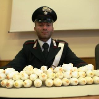 Gli ovuli trovati nel corpo dello studente nigeriano