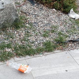 REGIONE: Entro fine maggio primi giugno rimpasto di Giunta