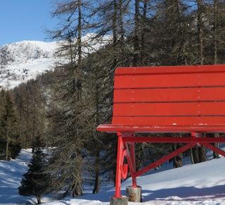 "25 novembre: il Consiglio celebra la Giornata contro la violenza sulle donne