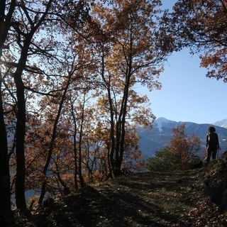 BIMBI INVESTITI: Petizione al sindaco di Aosta sulla sicurezza in corso Lancieri/ VEDI VIDEONOTIZIA