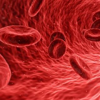 Per la prima volta trovate microplastiche nel sangue