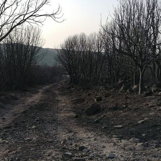 Territorio di Santu Lussurgiu © Giovanna Barracu