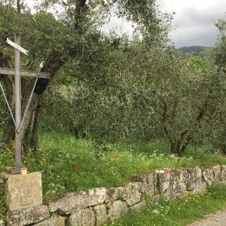 VAGELO DELLA DOMENICA: Lazzaro siamo noi. Risorgiamo perché amati