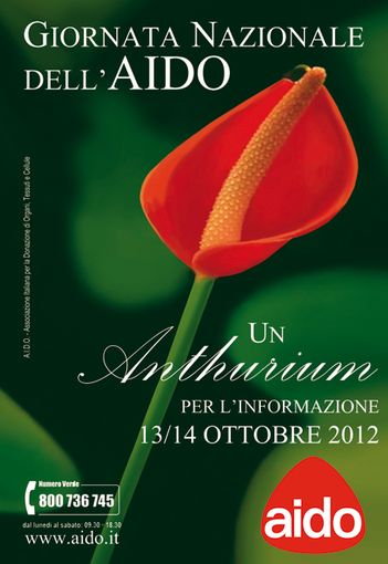 Il 13 e 14 ottobre Giornate nazionali dell’ Aido: un anthurium per l’informazione