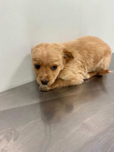 SENZA FAMIGLIA IN CERCA DI AFFETTO E ATENZIONE