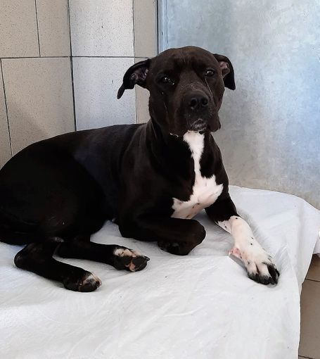 Luna spetta un po' di sereno