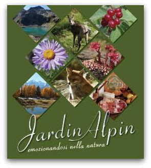 Apre oggi al pubblico Jardin Alpin, fino al 10 settembre emozioni dalla natura e nella natura ad Aosta, in Piazza Narbonne