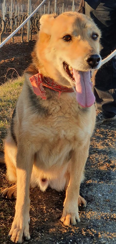 La preghiera di Marley