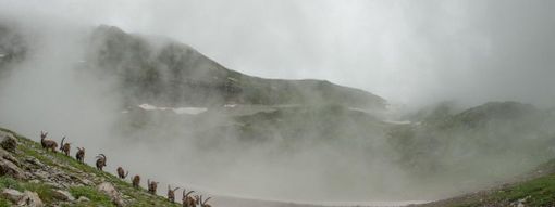 Alèrte inondation en Savoie et Mont-Blanc Alèrte inondation en Savoie et Mont-Blanc