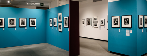 Visite guidate alla mostra “Brassaï. L’occhio di Parigi” Visite guidate alla mostra “Brassaï. L’occhio di Parigi”