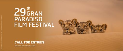 Call for entries 2026: aperte le candidature per il 29° Gran Paradiso Film Festival Call for entries 2026: aperte le candidature per il 29° Gran Paradiso Film Festival