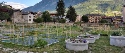 Aosta: Riapertura dei termini per l'assegnazione degli 0rti comunali: un'opportunità per la Comunità e l'ambiente Aosta: Riapertura dei termini per l'assegnazione degli 0rti comunali: un'opportunità per la Comunità e l'ambiente