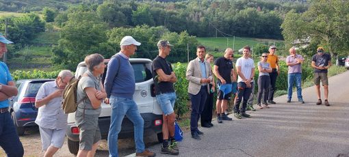 Prevenzione e lotta alla flavescenza dorata della vite Prevenzione e lotta alla flavescenza dorata della vite