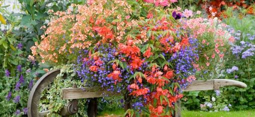 Bella composizione floreale all'aperto. Nella galleria fotografica i bambini alle prese con la realizzazione di un orto scolastico