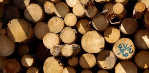 Verso un rilancio concreto della filiera del legno in Valle d'Aosta