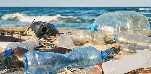 Basta plastica; in vigore le nuove regole sul monouso Basta plastica; in vigore le nuove regole sul monouso