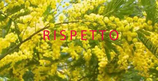 Pensieri in libertà Pensieri in libertà