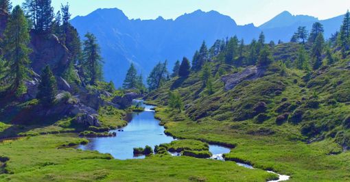 Cortlys, impianto contestato; per Legambiente “Un progetto fuori tempo e fuori legge” Cortlys, impianto contestato; per Legambiente “Un progetto fuori tempo e fuori legge”